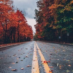 Work With Me product2 free img